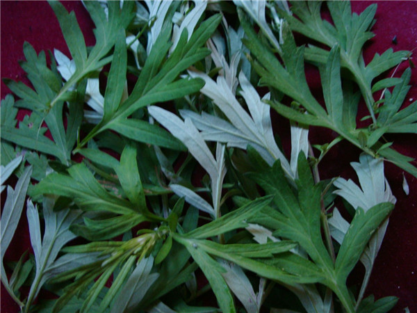 爱游戏（ayx）中国官方网站