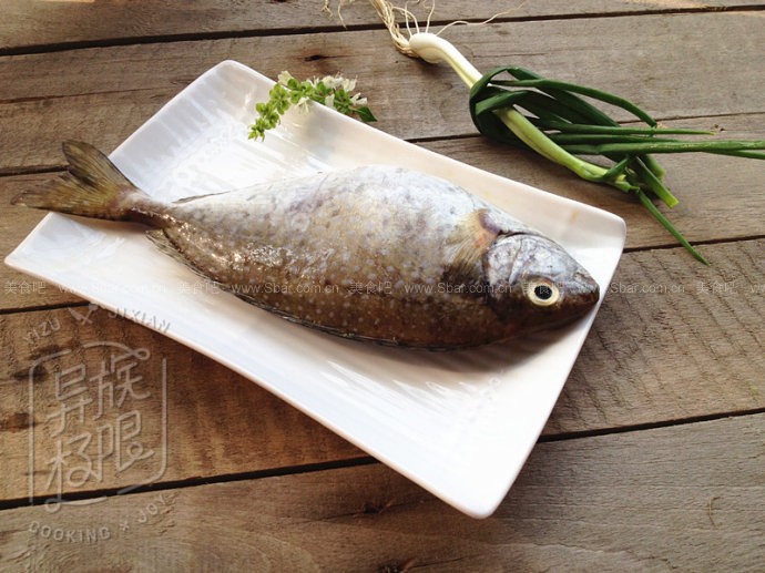 爱游戏（ayx）中国官方网站