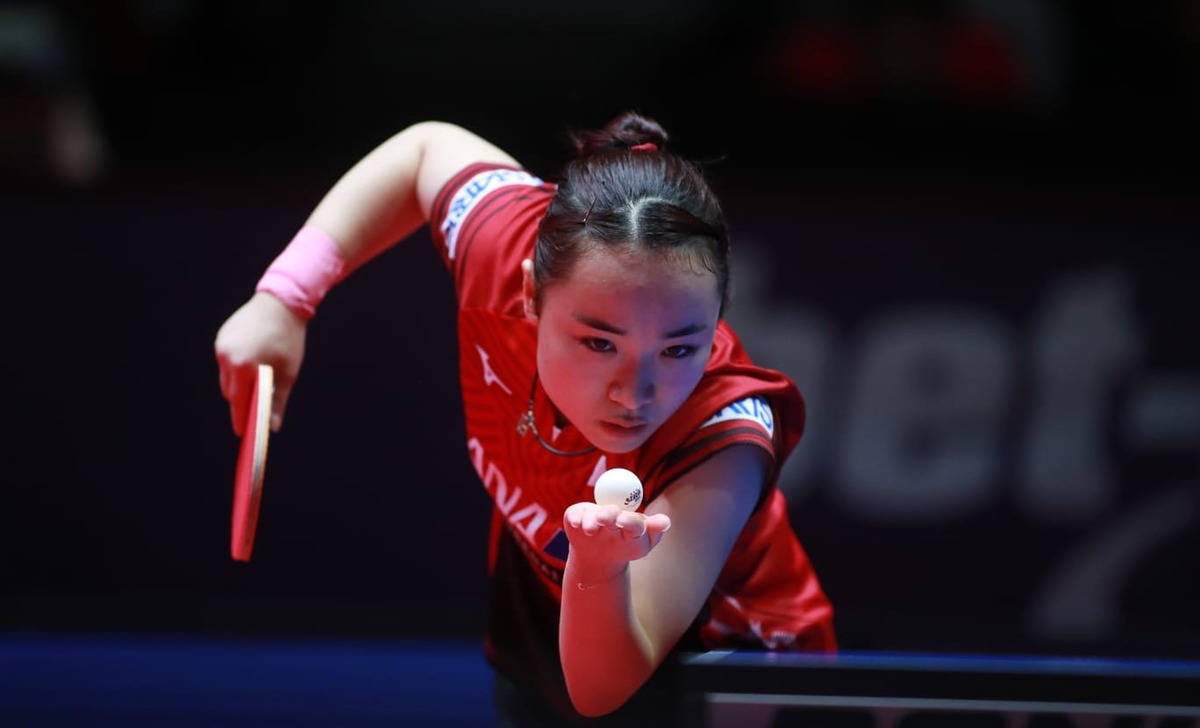 
好消息！央视直播乒乓球世界杯 伊藤张本引爆最大看点|ayx官网(图4)