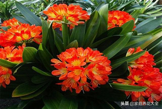 钟山法院到昭平法院交流学习扫黑除恶专项斗争工作经验:ayx官网(图2) ayx官网