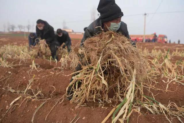 爱游戏（ayx）中国官方网站