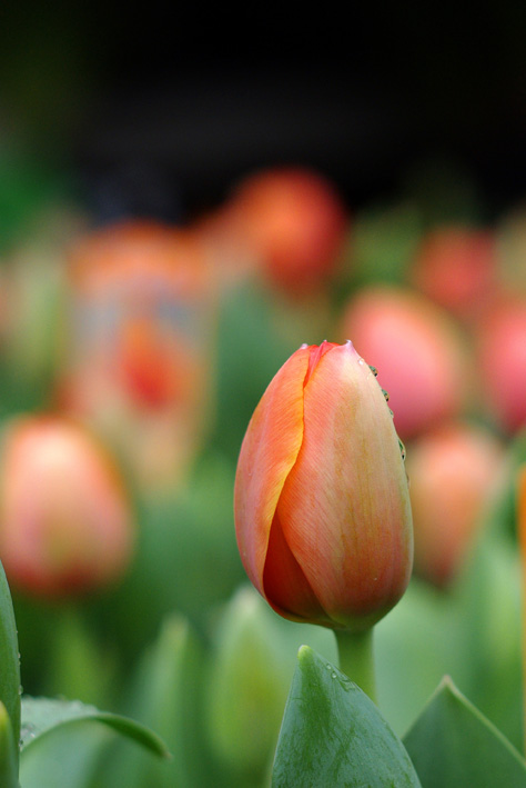 爱游戏（ayx）中国官方网站