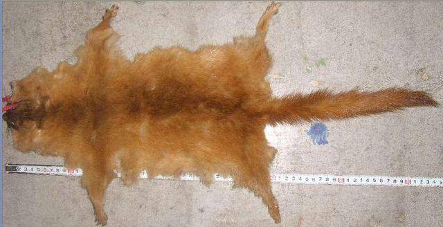 ayx官网|欧丽华到清塘镇里村开展七五”普法督查工作(图1) ayx官网