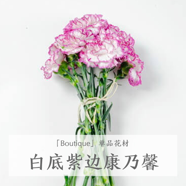 爱游戏（ayx）中国官方网站