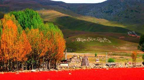 【ayx官方网站】金宇彬患鼻咽癌暂停活动 住院接受治疗粉丝心疼(图2) ayx官方网站