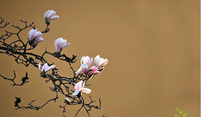 爱游戏(ayx)中国官方网站-广东德比现奇葩一幕 一出界球裁判看回放10分钟 球员只能场边热身(图2) 爱游戏(ayx)中国官方网站