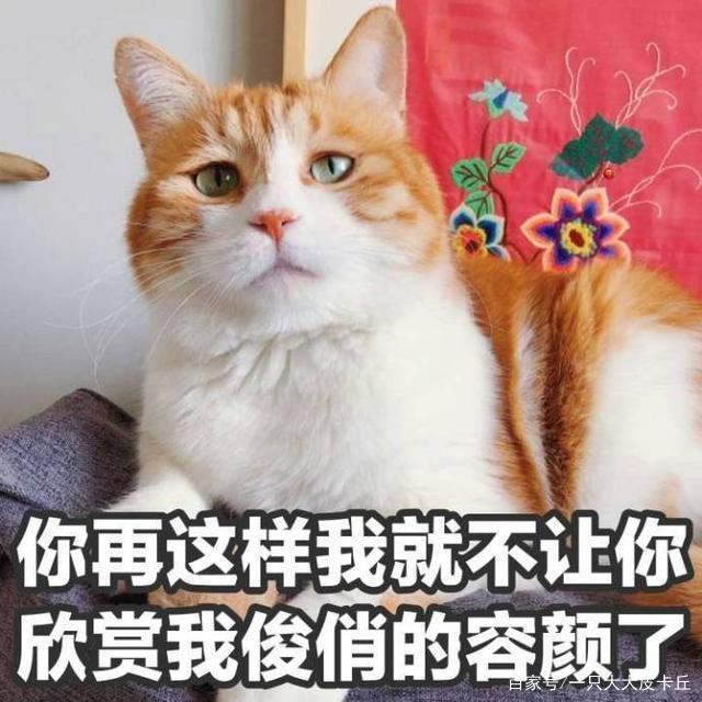 爱游戏（ayx）中国官方网站