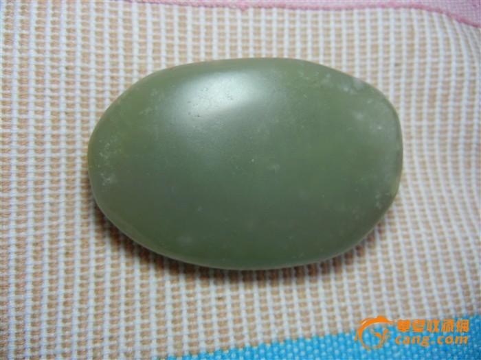 希尔顿自曝古怪嗜好 每晚抱着宠物猪和男友同眠“ayx官方网站”(图1) ayx官方网站