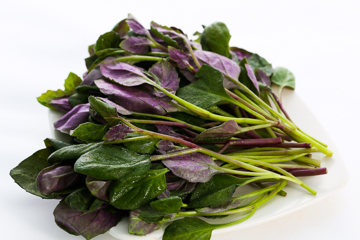 爱游戏（ayx）中国官方网站