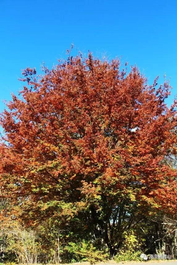 爱游戏（ayx）中国官方网站