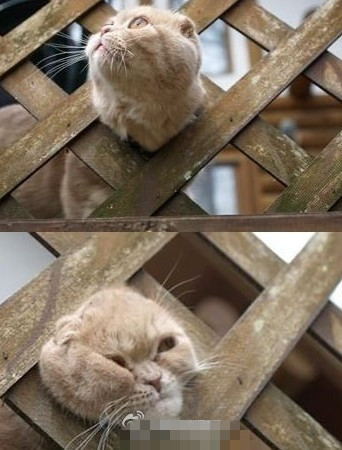 【爱游戏(ayx)中国官方网站】英超直播视频:伯恩利vs曼城(图1) 爱游戏(ayx)中国官方网站