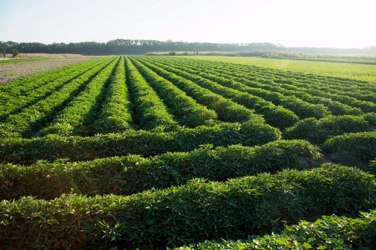 2020年最赚钱的十大男星 鹿晗第八 郭麒麟第二 第一名谁吗【爱游戏(ayx)中国官方网站】(图1) ayx官网